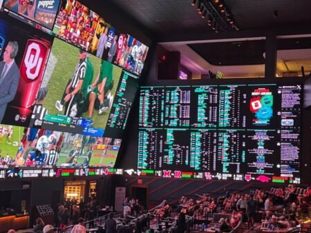 Best Sportsbooks for Serious Bettors